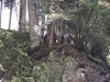 cascata-028