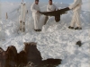 AttivitÃ  invernale