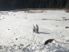 Invernale-007