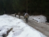 Invernale-019