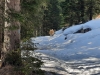 Invernale-033